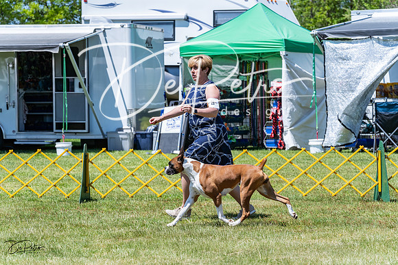 20230514-DSC04543