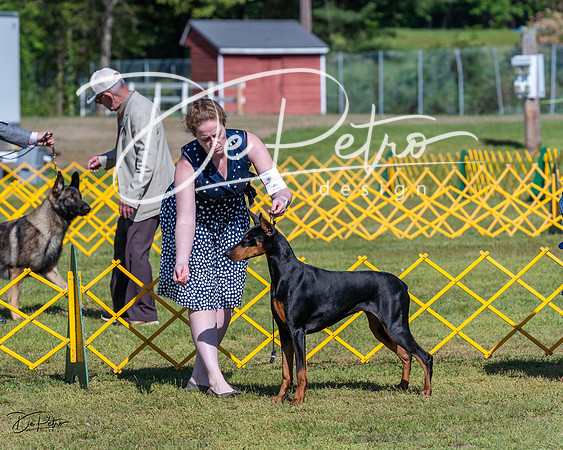 20230514-DSC02907