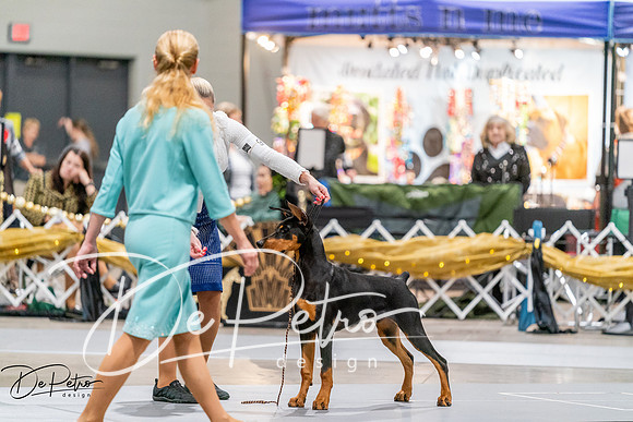 20260930-DSC07019