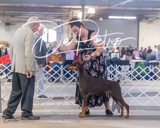 20230401-DSC06427