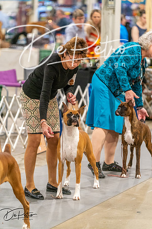 20261022-DSC00360