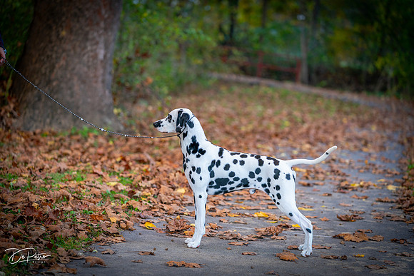 20261017-DSC09185