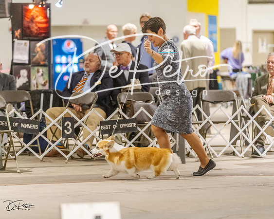 20230401-DSC08081
