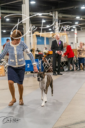 20261023-DSC05374