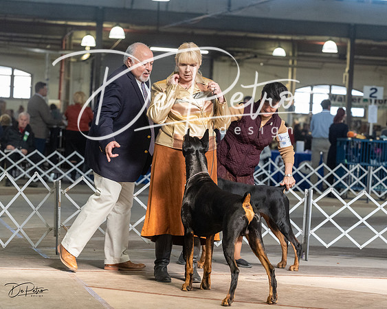 20230402-DSC08997