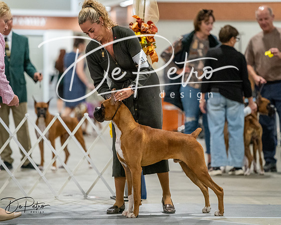 20261022-DSC02784