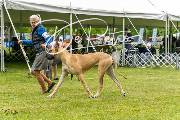 20230427-DSC02954