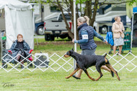 20230428-DSC07624