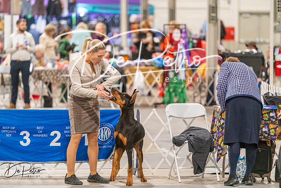 20261024-DSC00638