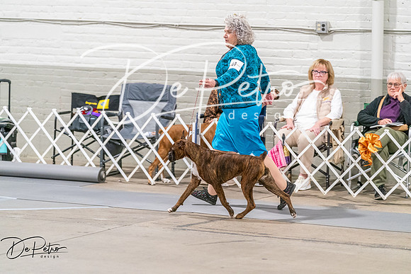 20261022-DSC00579