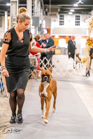 20261024-DSC08321