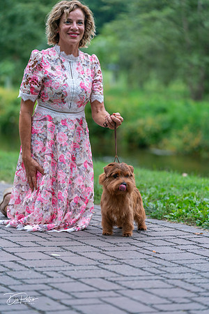 20260912-DSC03329