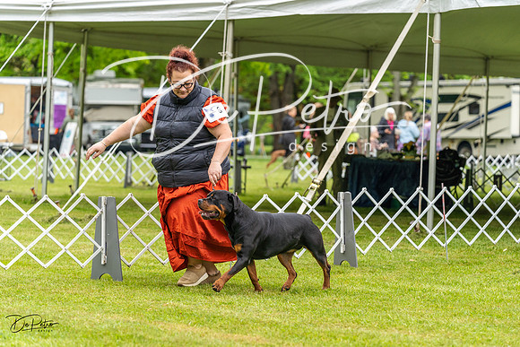 20230427-DSC02466