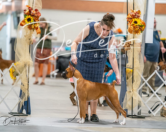 20261022-DSC03115