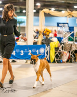 20261022-DSC01588
