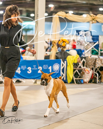 20261022-DSC01588