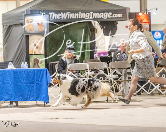 20230401-DSC07734