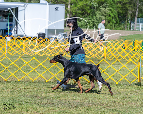 20230514-DSC02973
