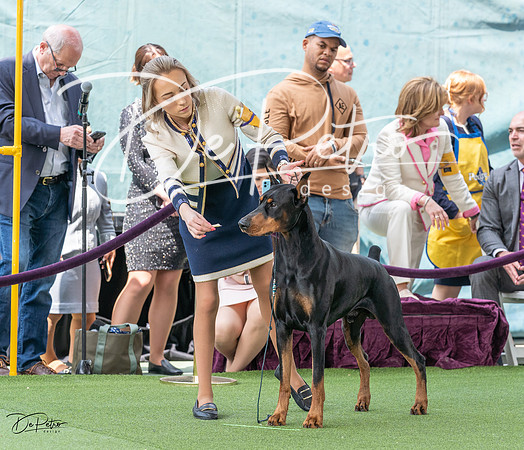 20230509-DSC01246