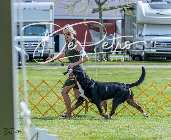 20230512-DSC05051