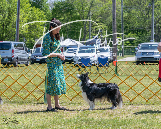 20230514-DSC04796