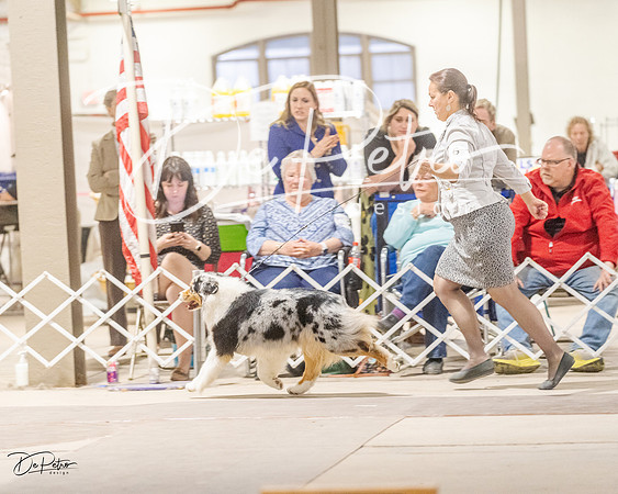 20230401-DSC07752