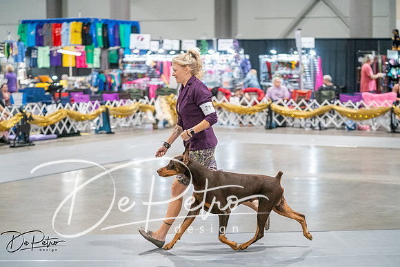 20260926-DSC04348