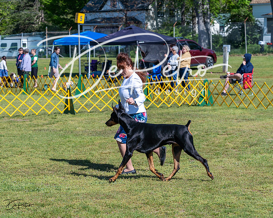 20230514-DSC03209