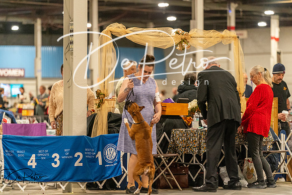 20261023-DSC05322