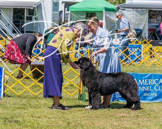 20230514-DSC03857