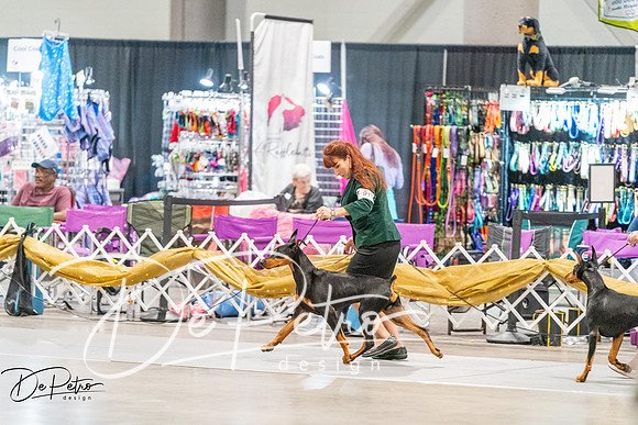 20261001-DSC07265