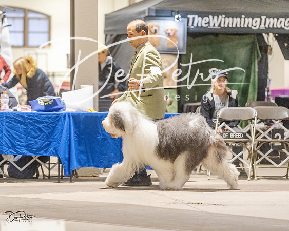 20230401-DSC07788