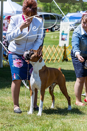 20230514-DSC04374