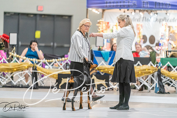 20260927-DSC05238