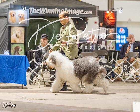 20230401-DSC07784