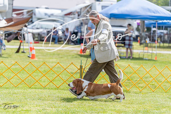 20230513-DSC09709
