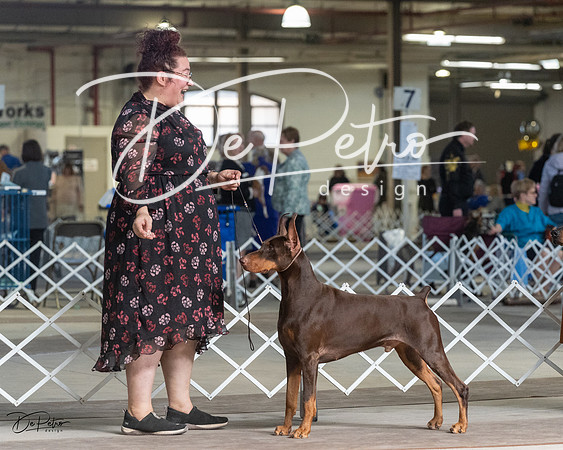 20230402-DSC09249