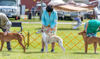 20230513-DSC09356