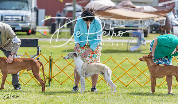 20230513-DSC09356
