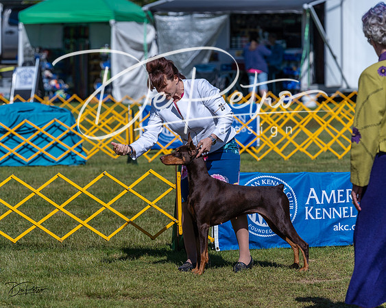 20230514-DSC02714