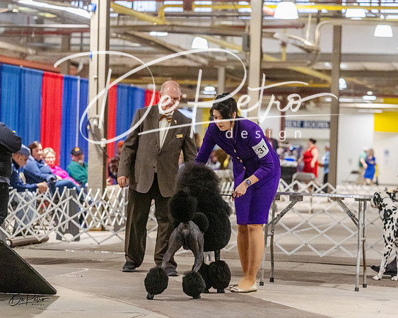 20230401-DSC07119