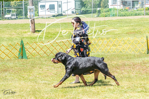 20230514-DSC07812