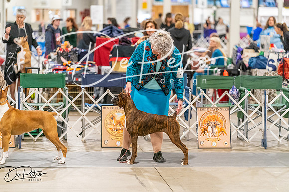 20261022-DSC00377