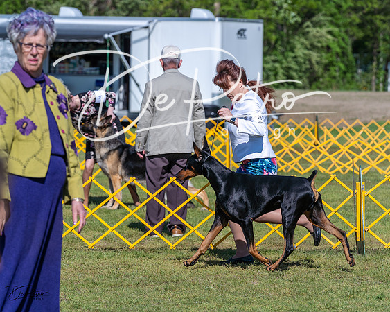 20230514-DSC03004