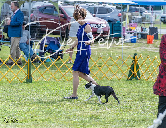 20230513-DSC00397