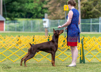 20230513-DSC08113