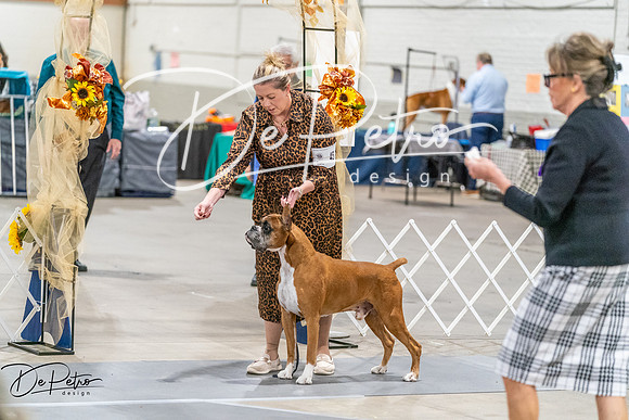 20261022-DSC00788