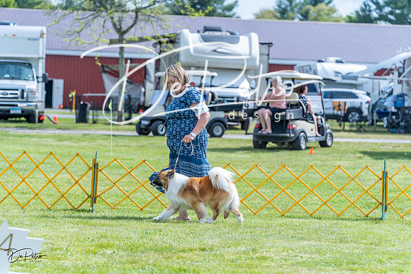 20230512-DSC05453