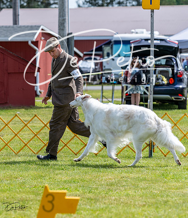 20230513-DSC09333