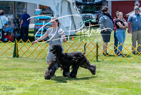 20230513-DSC09165